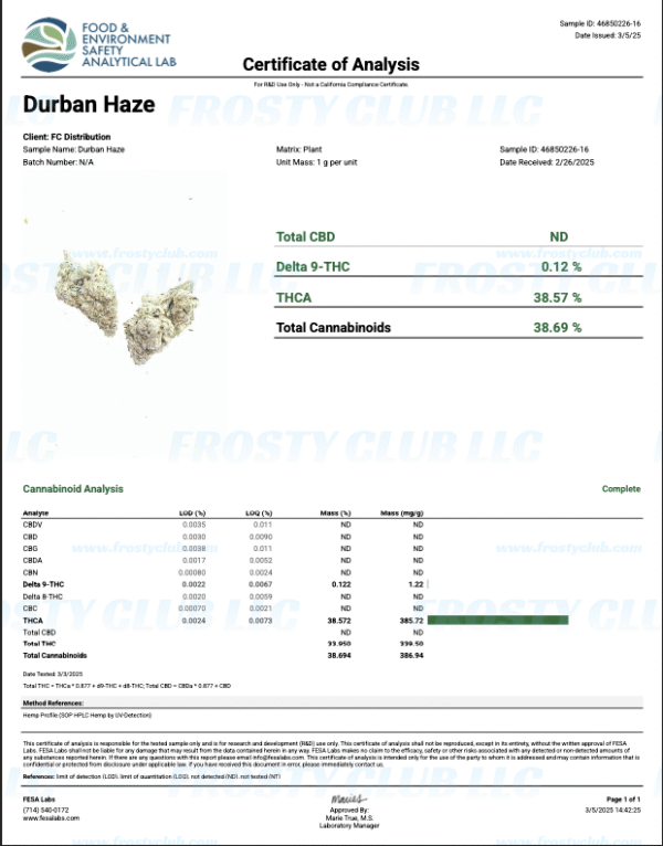 Durban Haze (fire) - Image 2